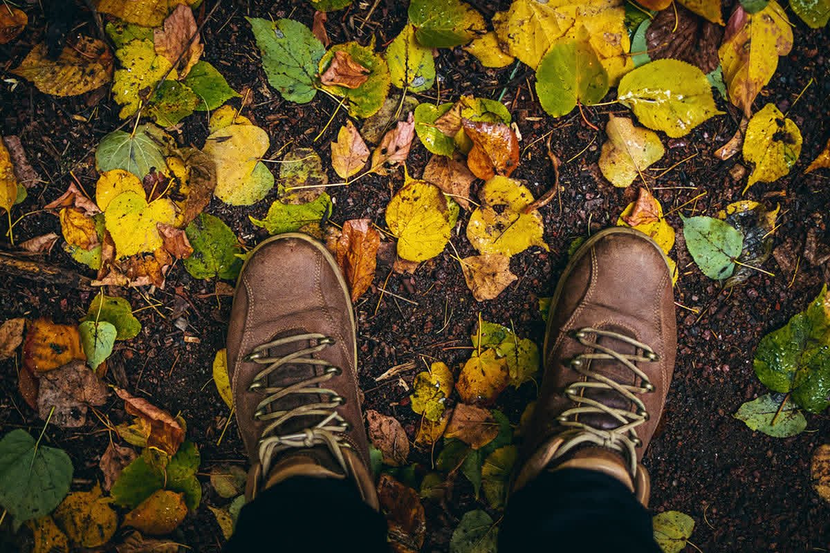 Sentier couvert de feuilles d automne sur la Cote d Azur