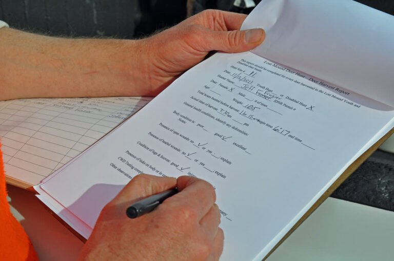 Anglais en CE1 : le programme et comment aider à la maison