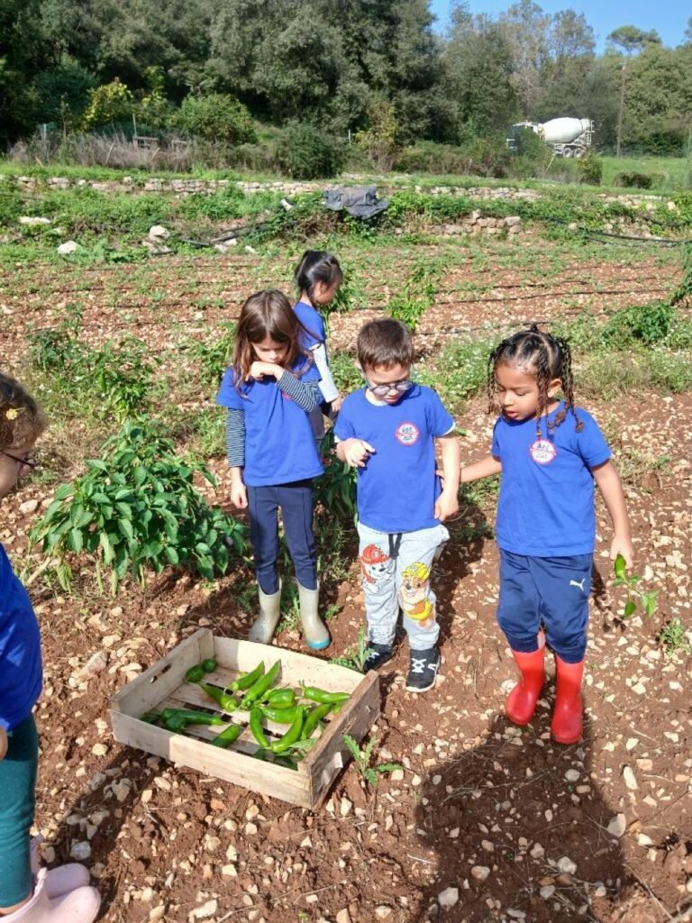 Stage d'anglais Toussaint 2026 à Biot : le programme des Day Camps
