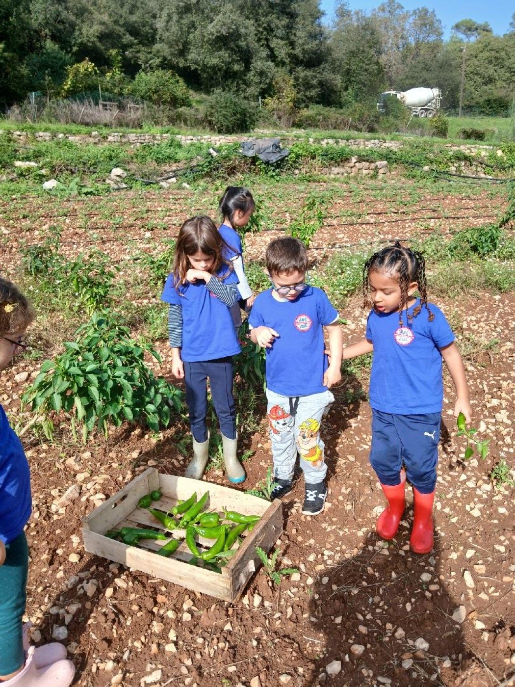 Enfants en sortie nature pendant un day camp ABC