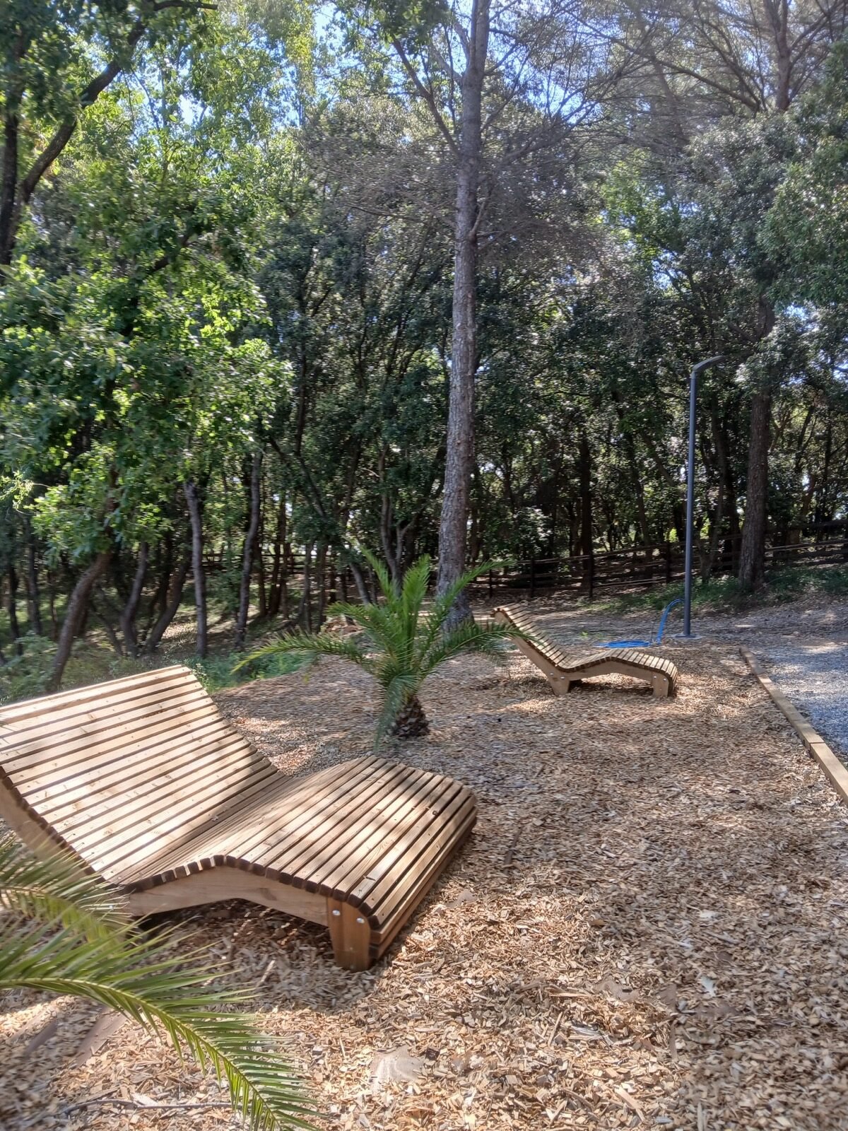 Espaces nature du campus ABC à Biot avec transats en bois sous les pins